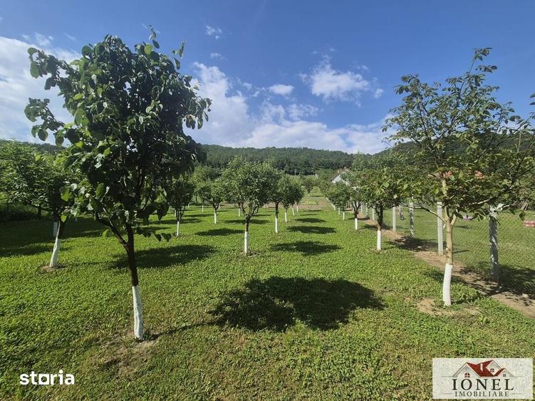 Teren de 2292 mp, în Vințu de Jos