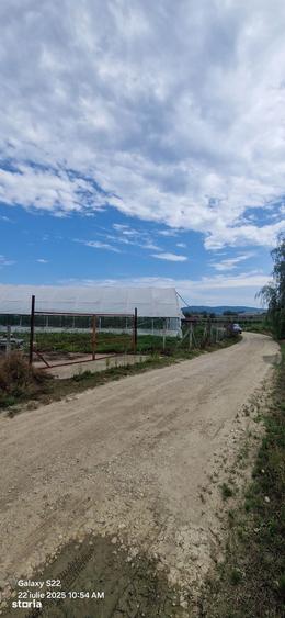 Teren de 2600 mp, în Vețel