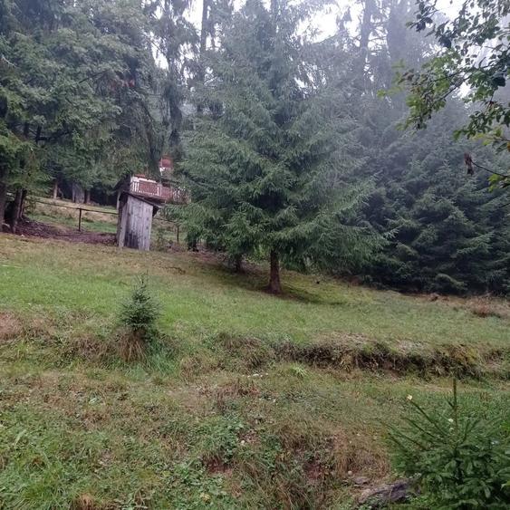 Teren în Muntele Băișorii
