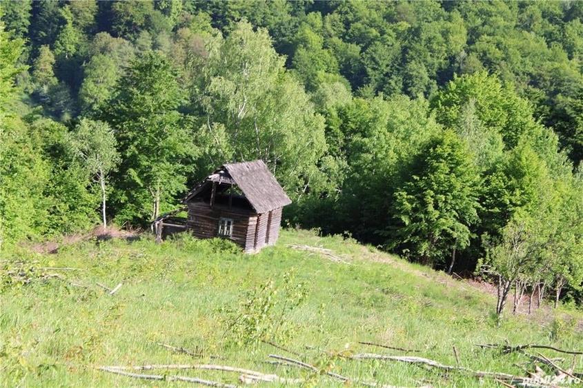 Teren în Malaia