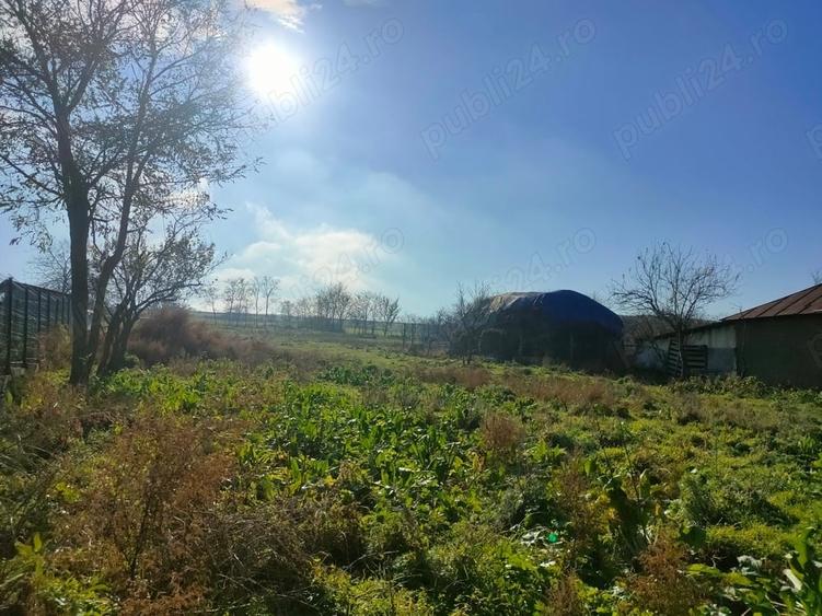 Teren de 2000 mp, în Topolog