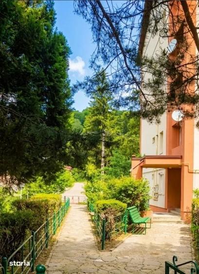 Oportunitate Investitie: Apart. 2 Camere in Busteni | Ideal Resedinta - 10
