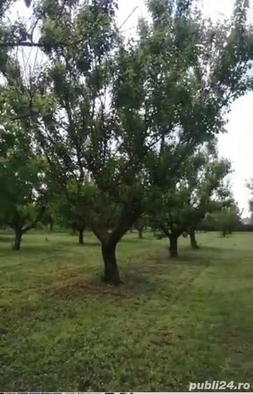 Casă în Căscioarele