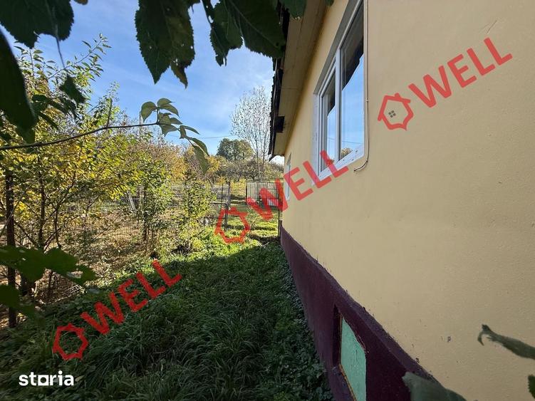 Casă cu Teren 4831 Mp în Bran