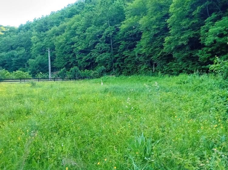 Casă cu 5 camere cu Teren 1200 Mp în Boz