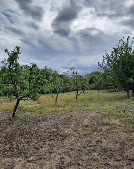Teren de 2200 mp, în Romos