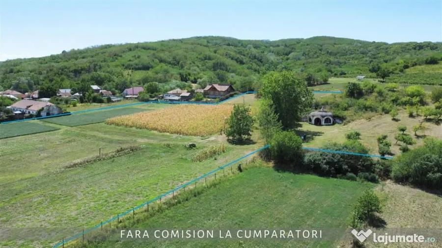 Spațiu comercial, de 472 mp, în Orlești