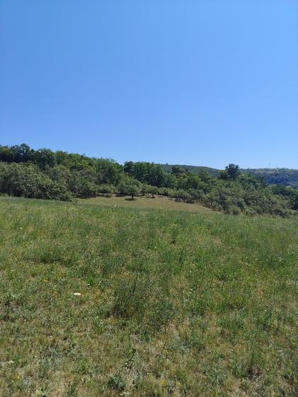Teren agricol extravilan de 7300 mp, în Baciu