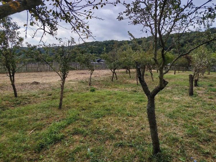 Casă cu 4 camere cu Teren 2250 Mp în Central
