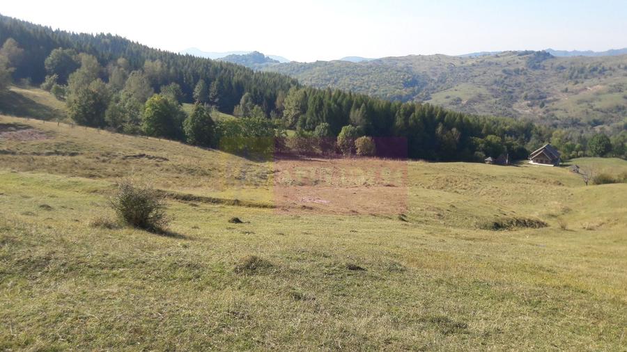 Teren agricol intravilan de 9037 mp, în Plaiul Tălii