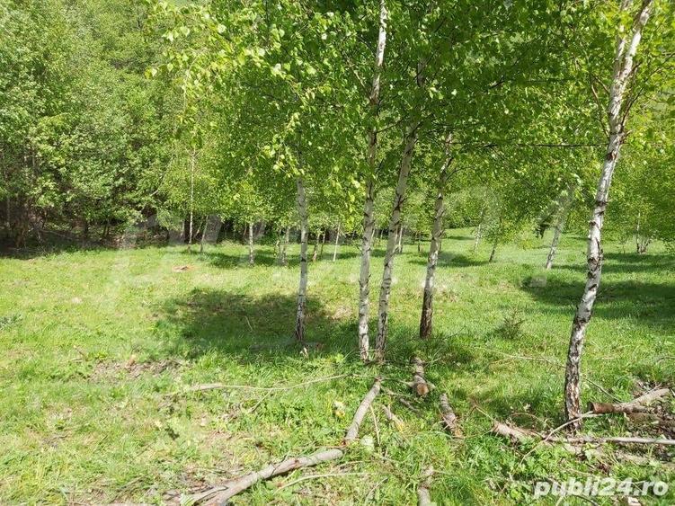 Teren de 2200 mp, în Moieciu