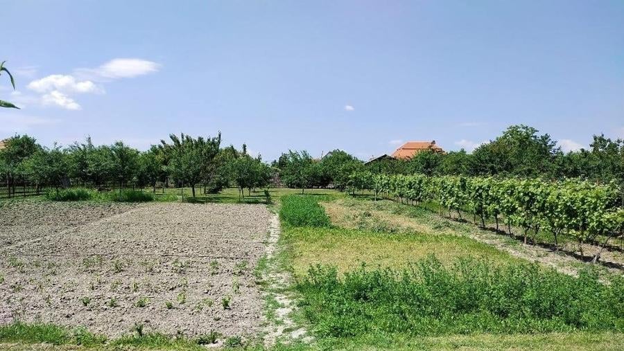 Casă individuală cu 4 camere cu Garaj în Bucovăț (Remetea Mare)