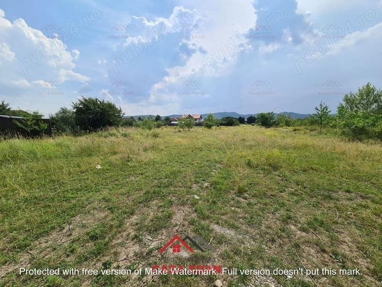 Casă cu Teren 3727 Mp în Bănești