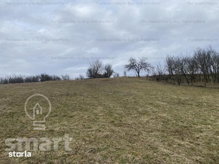 Teren de 5400 mp, în Sava