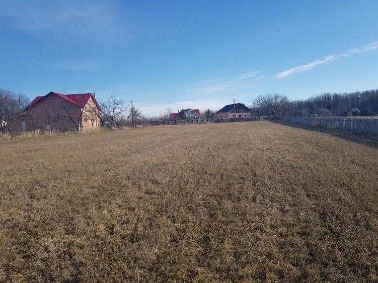 Teren de 5000 mp, în Schitu Hadâmbului