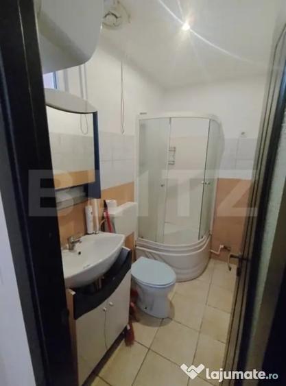 Garsonieră, mobilată în Calea Severinului
