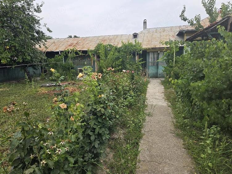 Casă cu 5 camere cu Teren 1772 Mp în Mavrodin