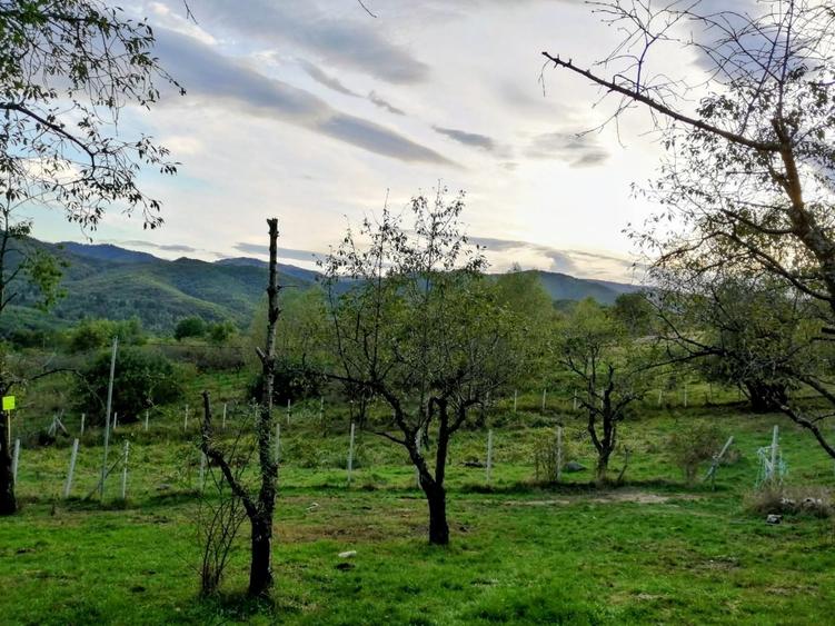 URGENT - Teren intravilan 916 mp in Cisnadioara 79.996,00 EUR cu plata in rate - 2