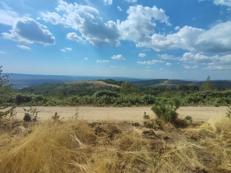 Teren Construcții extravilan de 8000 mp, în Central