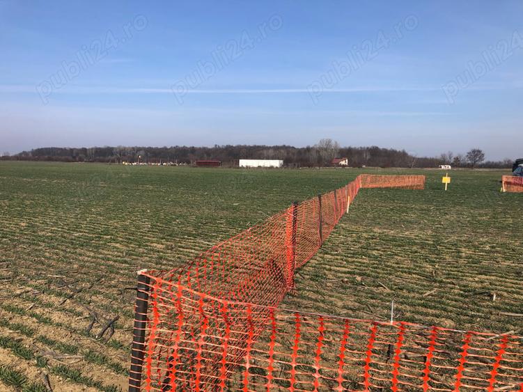 Teren de 622 mp, în Clinceni
