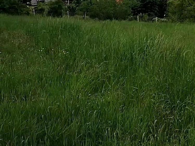 Teren Construcții intravilan de 2934 mp, în Gura Humorului