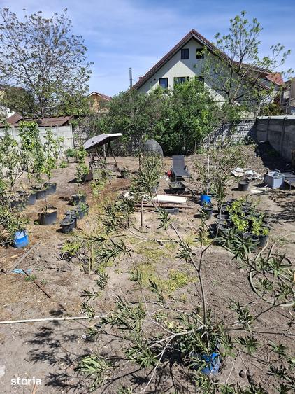 Casă cu 3 camere cu Teren 557 Mp în Brazda lui Novac