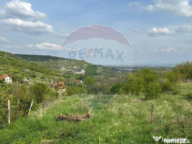 Teren în Podgoria