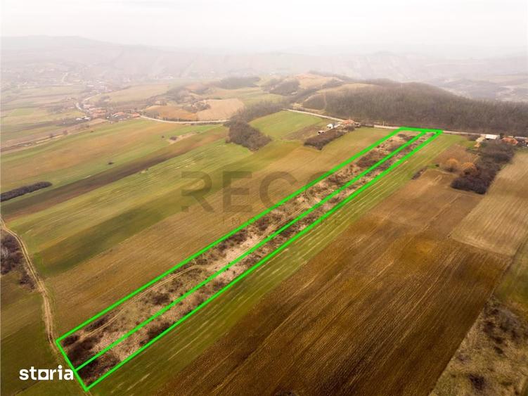Teren de 13041 mp, în Sârbi