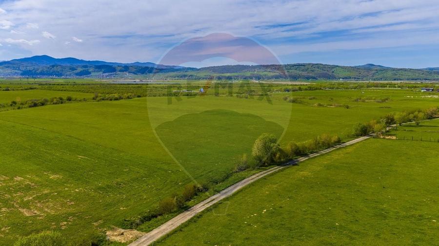 Teren agricol extravilan de 3000 mp, în Pănicel