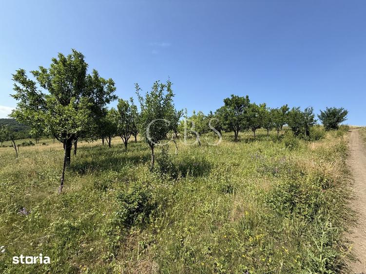 Teren de 5800 mp, în Dezmir