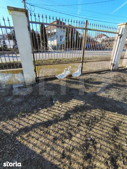 Teren de 520 mp, în Mociu