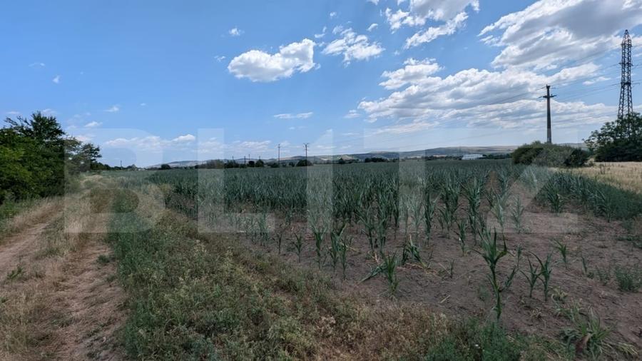 Teren Construcții intravilan de 3900 mp, în Sud