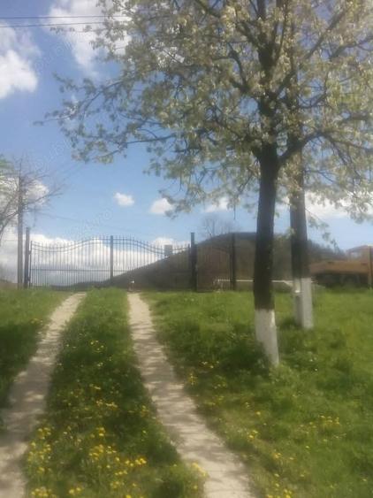 Casă cu 3 camere în Criș