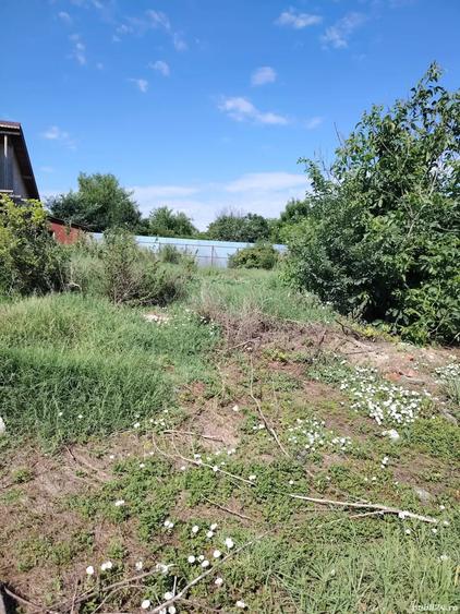Teren de 1767 mp, în Chirnogi