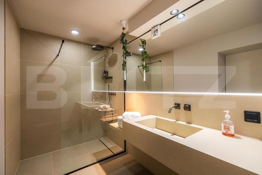 Apartament 3 camere, lux, pet friendly, gradina, Ultracentral - 14