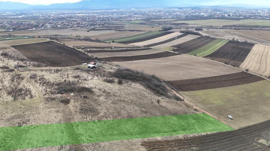 Teren extravilan 4500mp cu autorizatie adapost agricol in Gusterita - 3