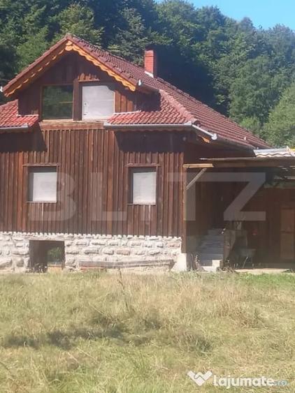 Casă cu 4 camere cu Teren 4302 Mp în Geoagiu-Băi