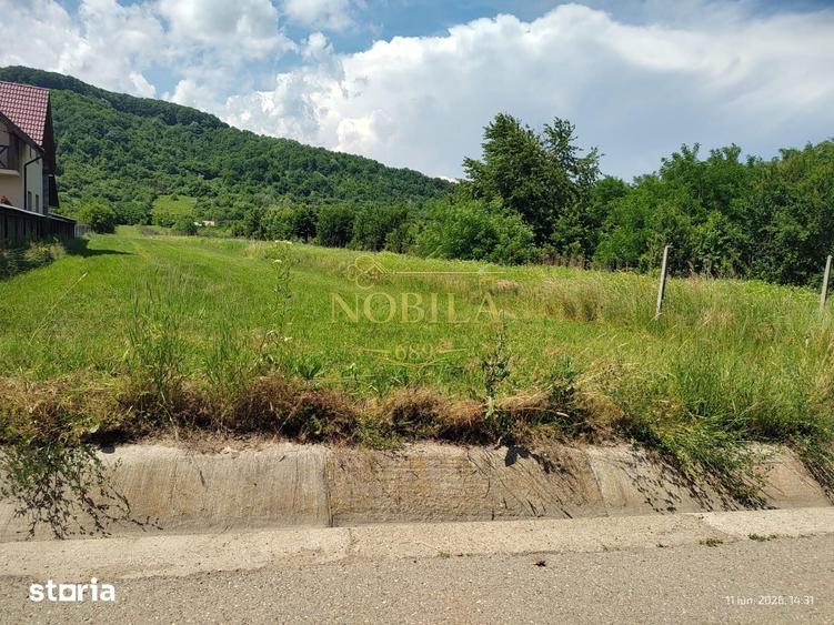 Teren de 3530 mp, în Cașin