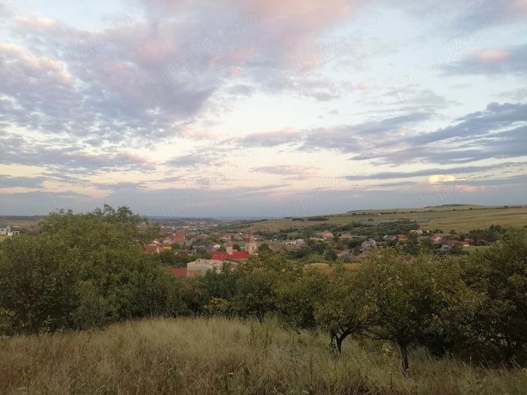 Casă cu Teren 2000 Mp în Copăceni
