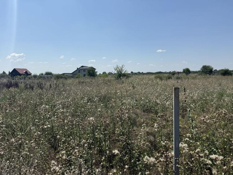 Teren Corbeanca Balotesti 545 mp Trei Lacuri - 8