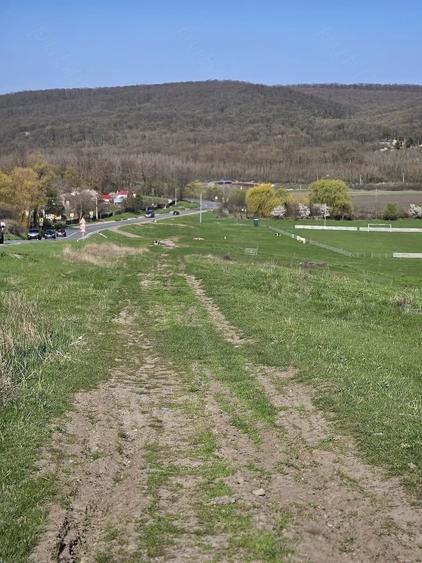 Teren de 7200 mp, în Crețești