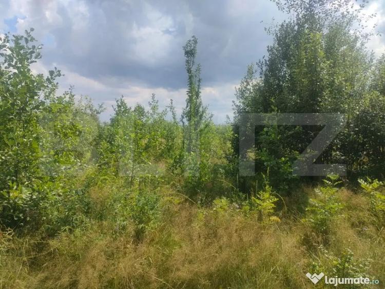 Teren de 5857 mp, în Horodnic