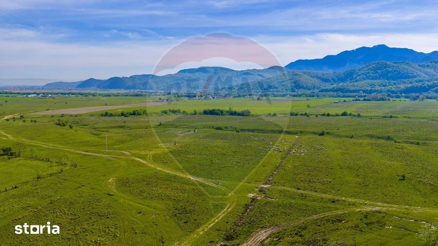 Teren 1ha, extravilan Rasnov / Agricultura sau ferma/ COMISION 0% - 1