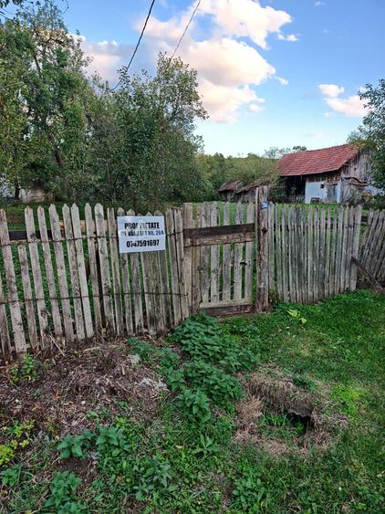 Spațiu comercial, în Șpălnaca