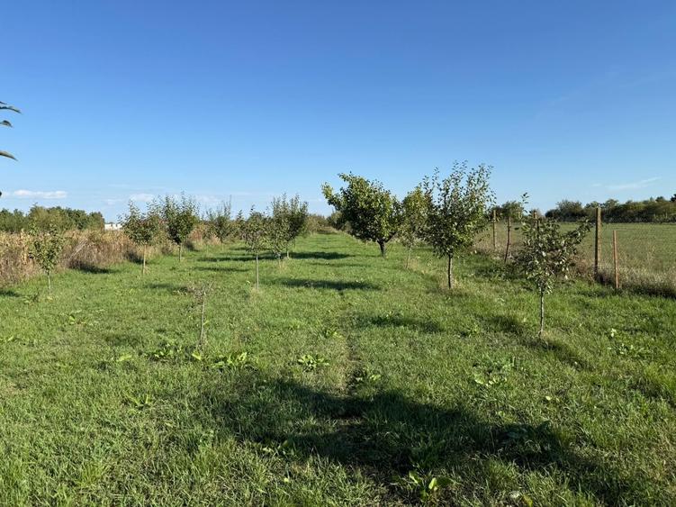 Casă cu 3 camere cu Teren 2500 Mp în Rușeni