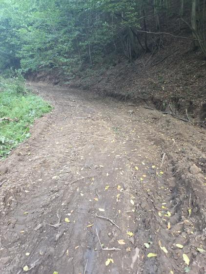 Teren de 11650 mp, în Poiana Mărului
