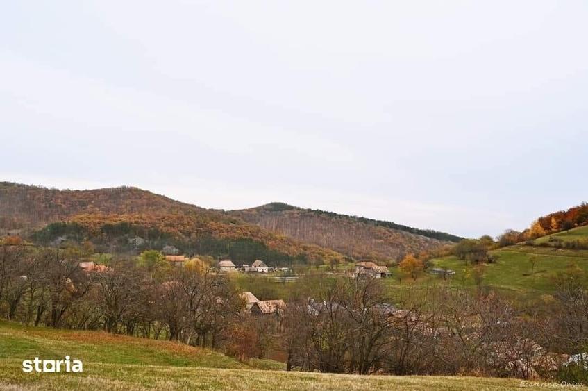Teren de 7000 mp, în Cetate