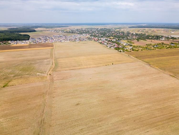 Teren Construcții intravilan de 7500 mp, în Dascălu