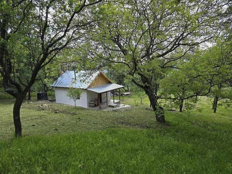 Casă cu Teren 2500 Mp în Poiana Pletari
