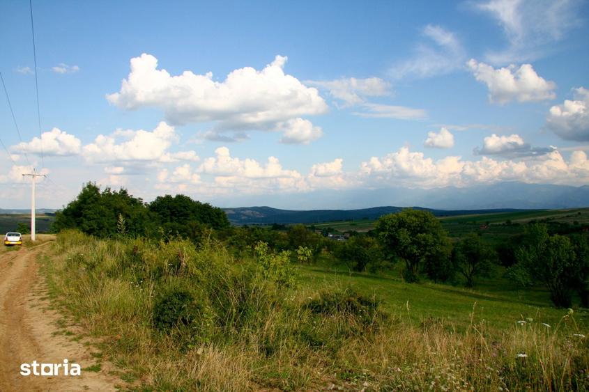 Teren de 600 mp, în Roșia